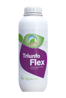 Triunfo Flex - 0